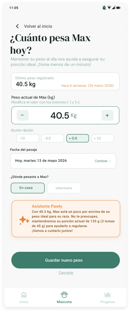 Wireframe 13